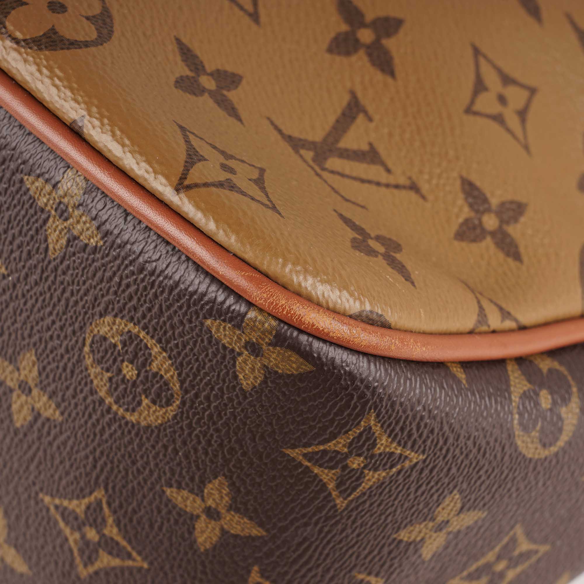 Dauphine Hobo Bag - Image 11
